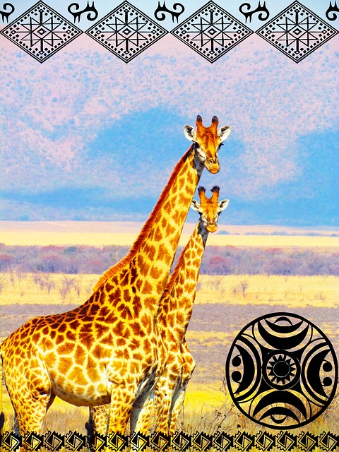Tanzania safari giraffe