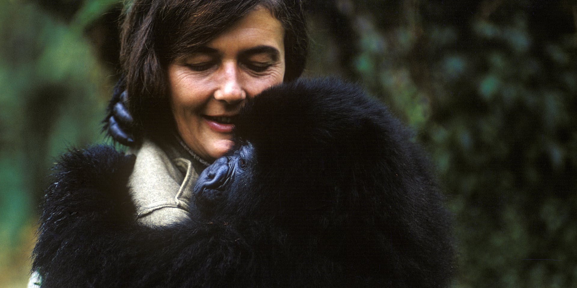 Diane Fossey Grave Hike Uganda