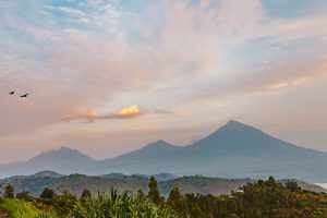 5 Days Uganda Rwanda Gorilla Trek