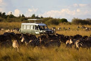 African safari car