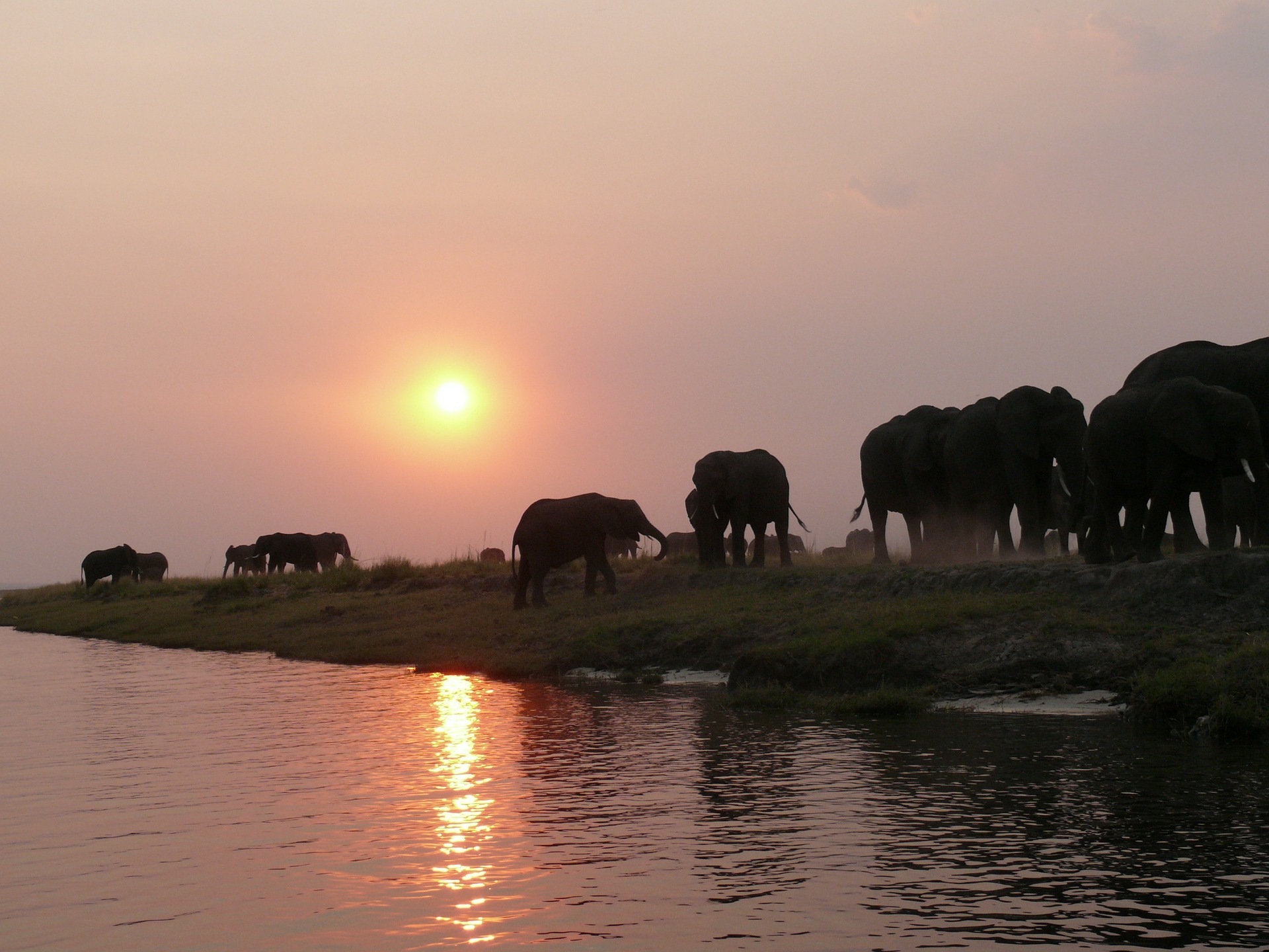 The Northern Circuit Safari of Tanzania