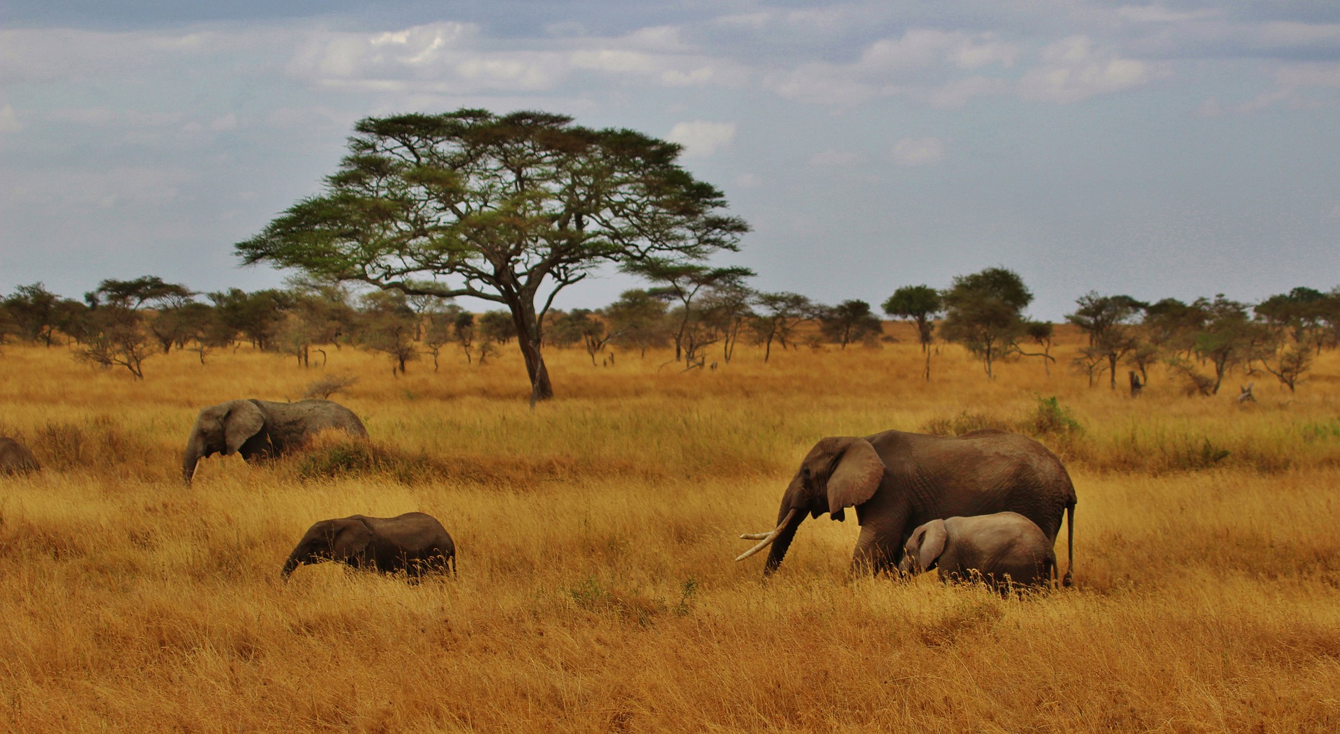 3 Days Akagera Wildlife Safari