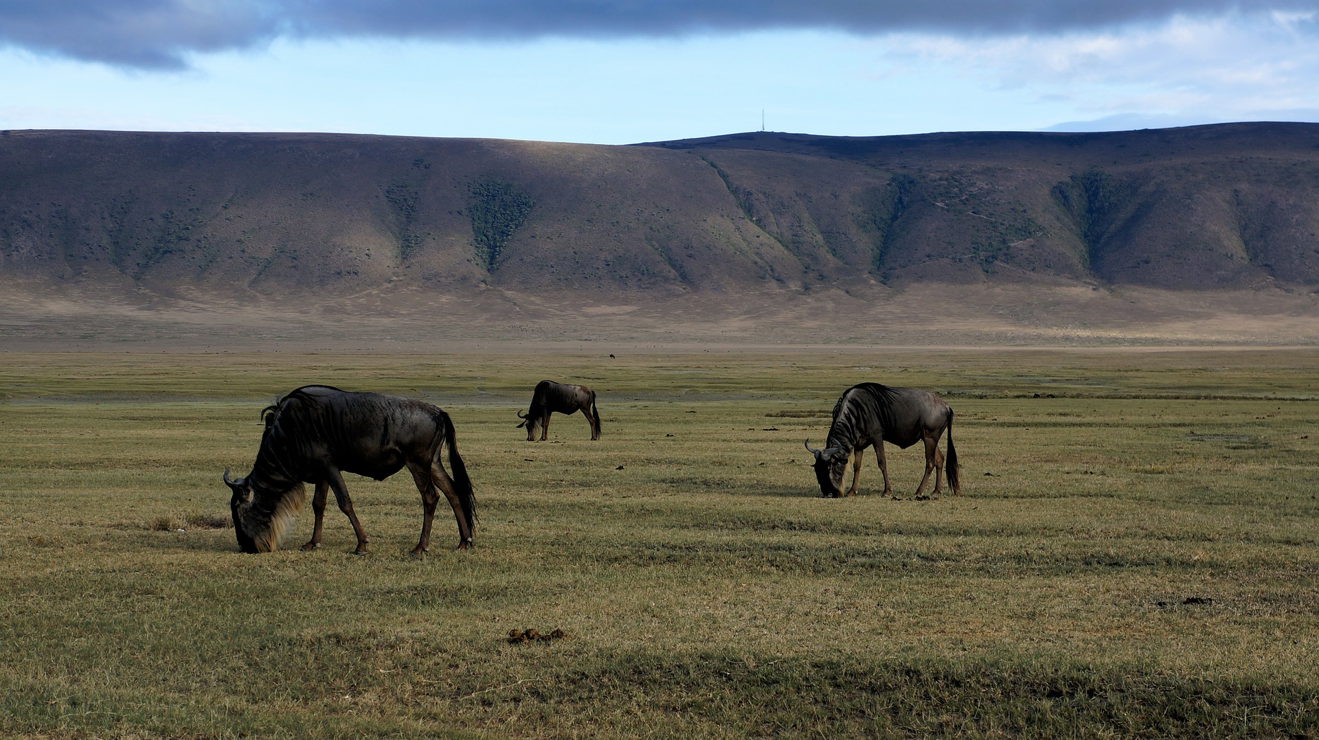 3 Days Serengeti & Ngorongoro Safari