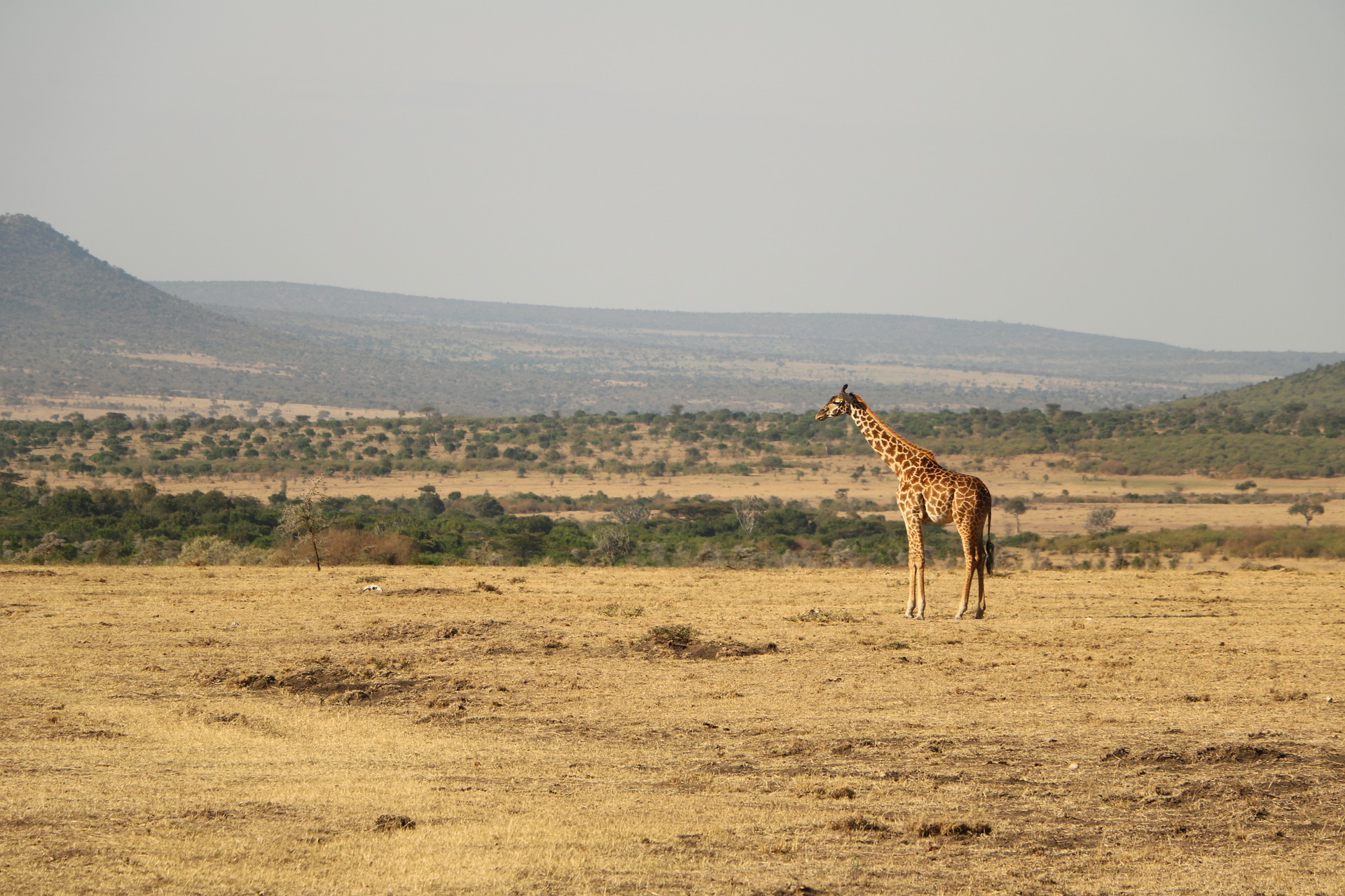 9 Days Tanzania Northern Circuit Safari