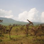 14 Days Kenya Wildlife & Beach Holiday