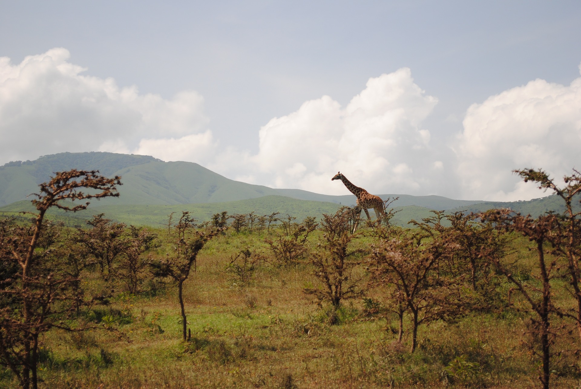 14 Days Kenya Wildlife & Beach Holiday