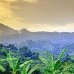 4 Days Mount Elgon Hiking Safari