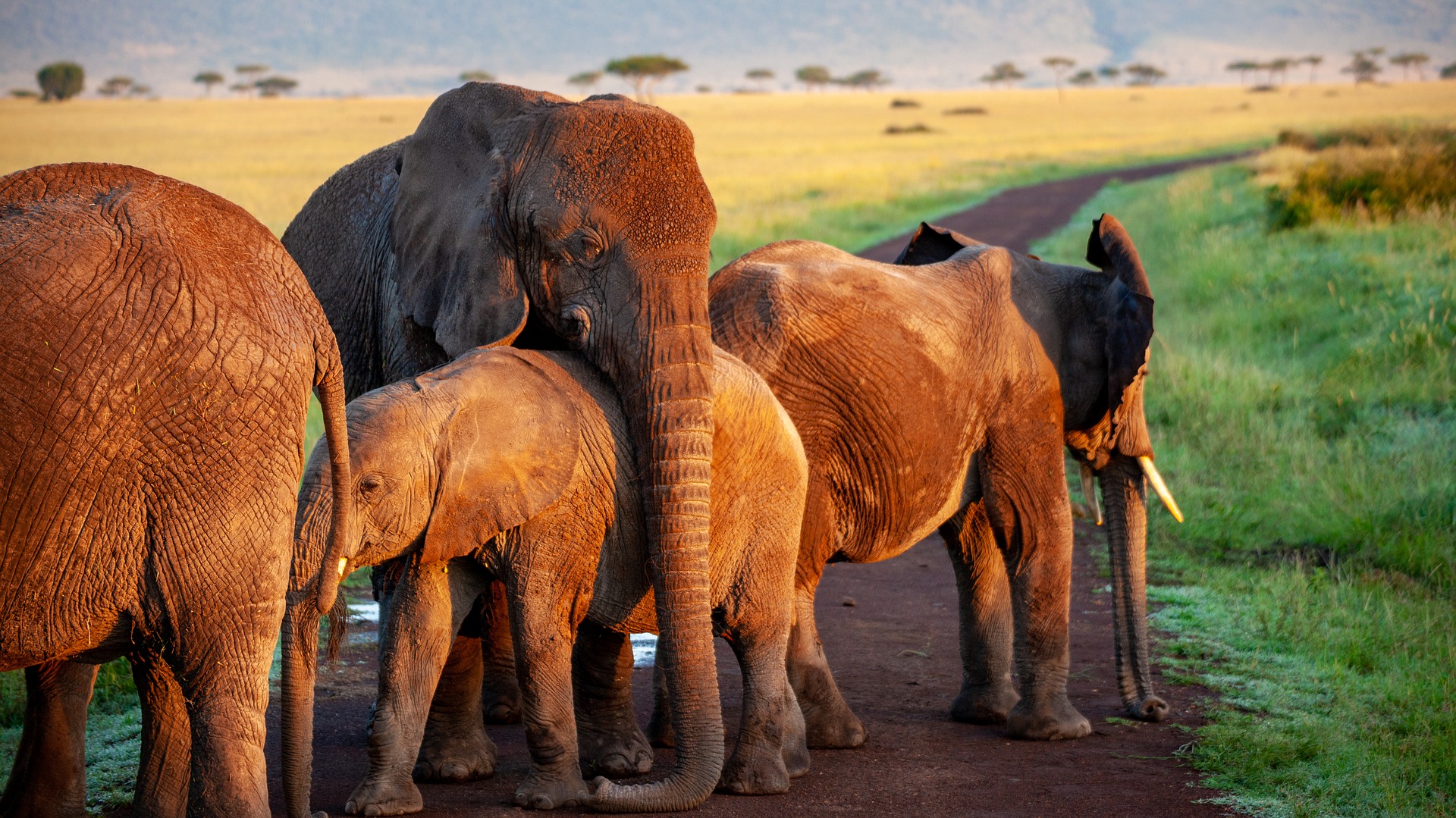 10 Days Best of Rwanda Adventure Safari