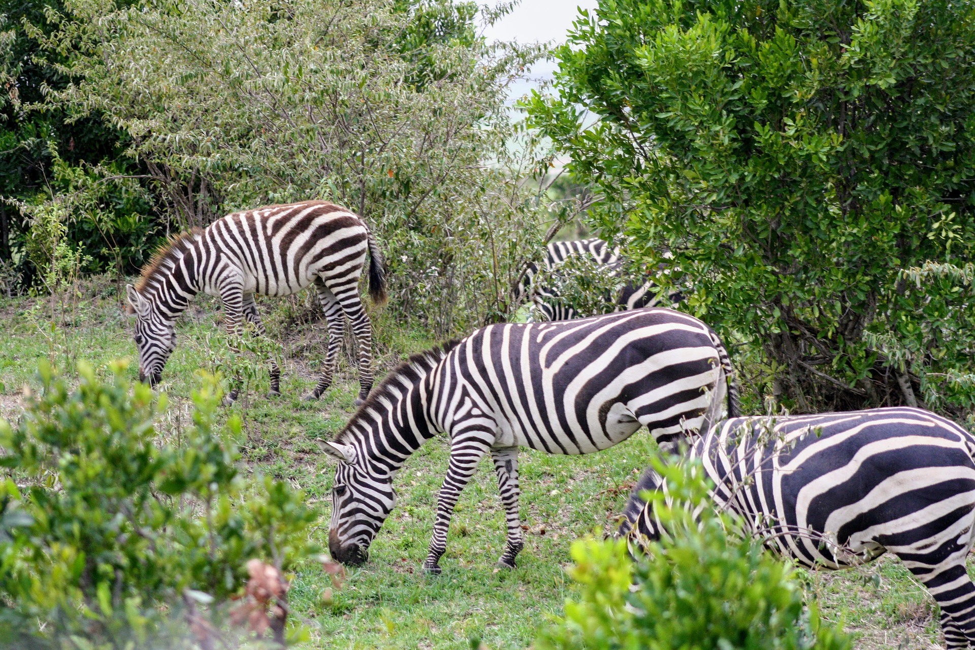 9 Days Uganda Rwanda Safari Holiday