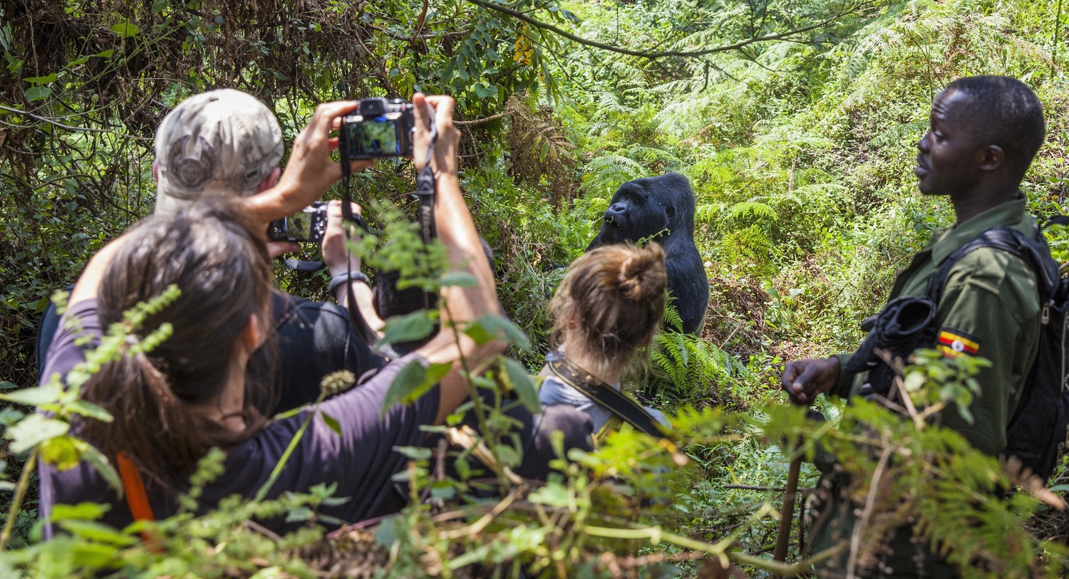 3 days Uganda gorilla trekking from Kigali