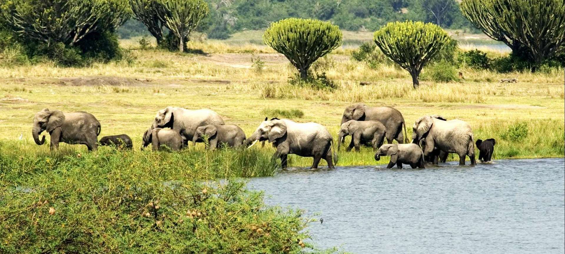 11 days Uganda Exclusive Wildlife Safari