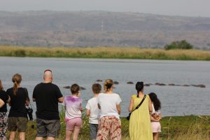Family safaris in Uganda