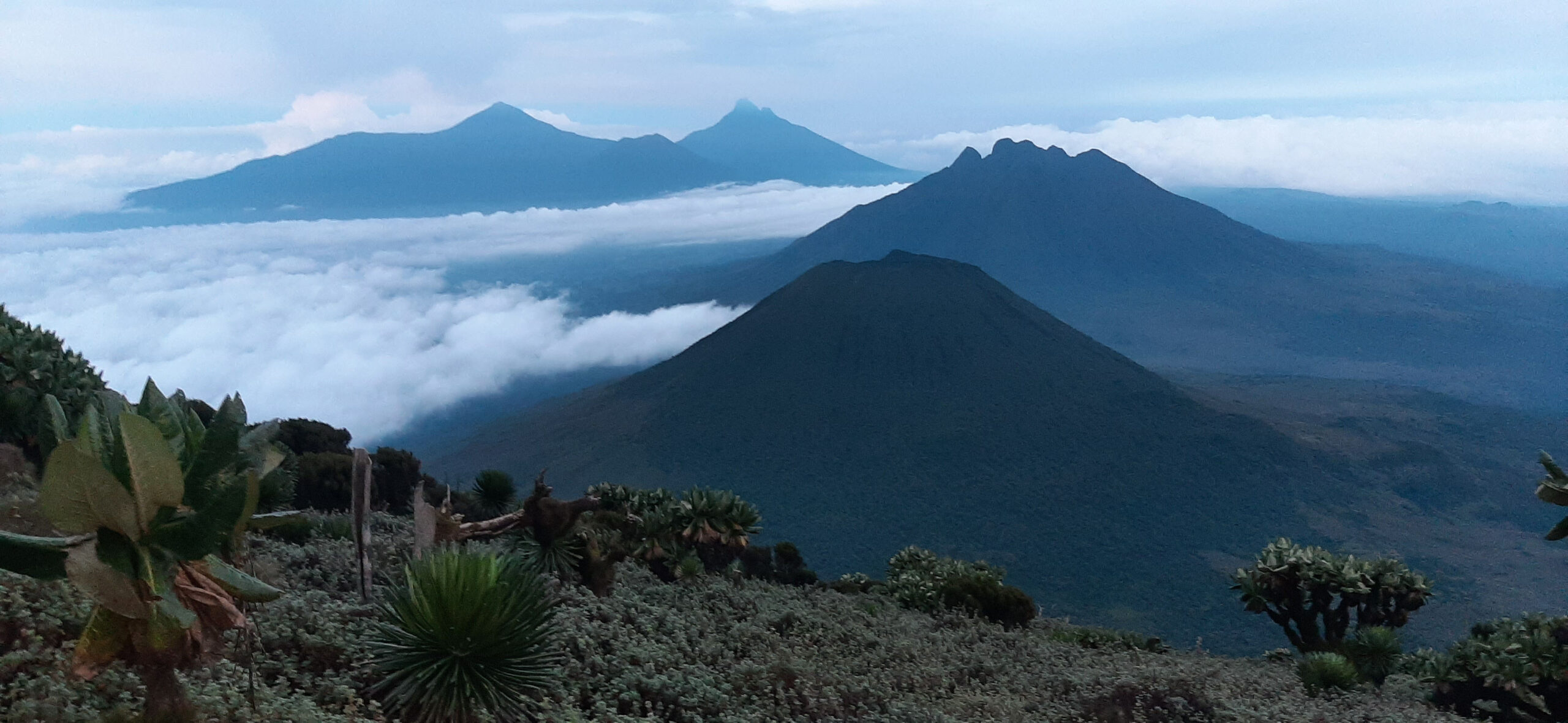 Mount. Muhabura