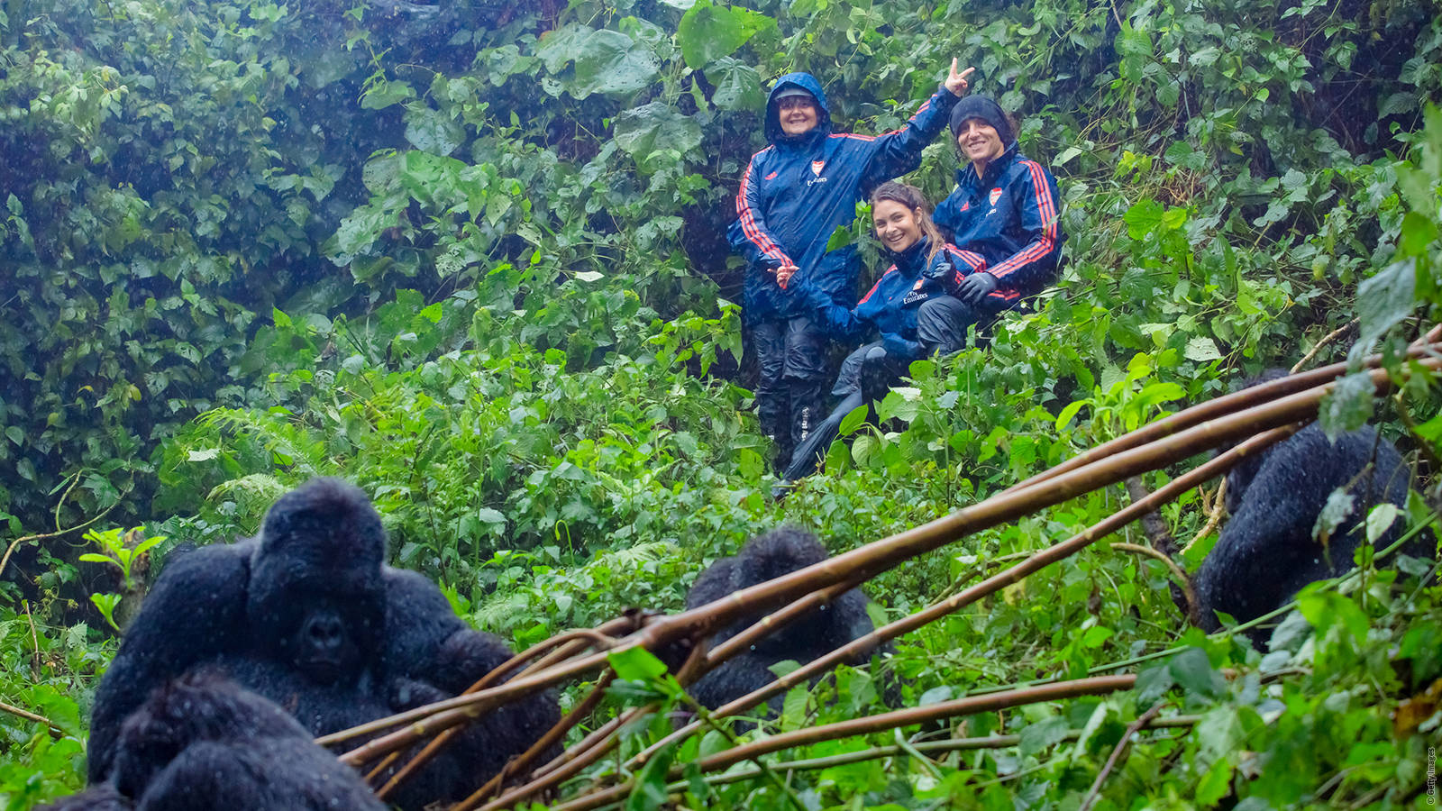 5 BEST RWANDA SAFARI DESTINATIONS.