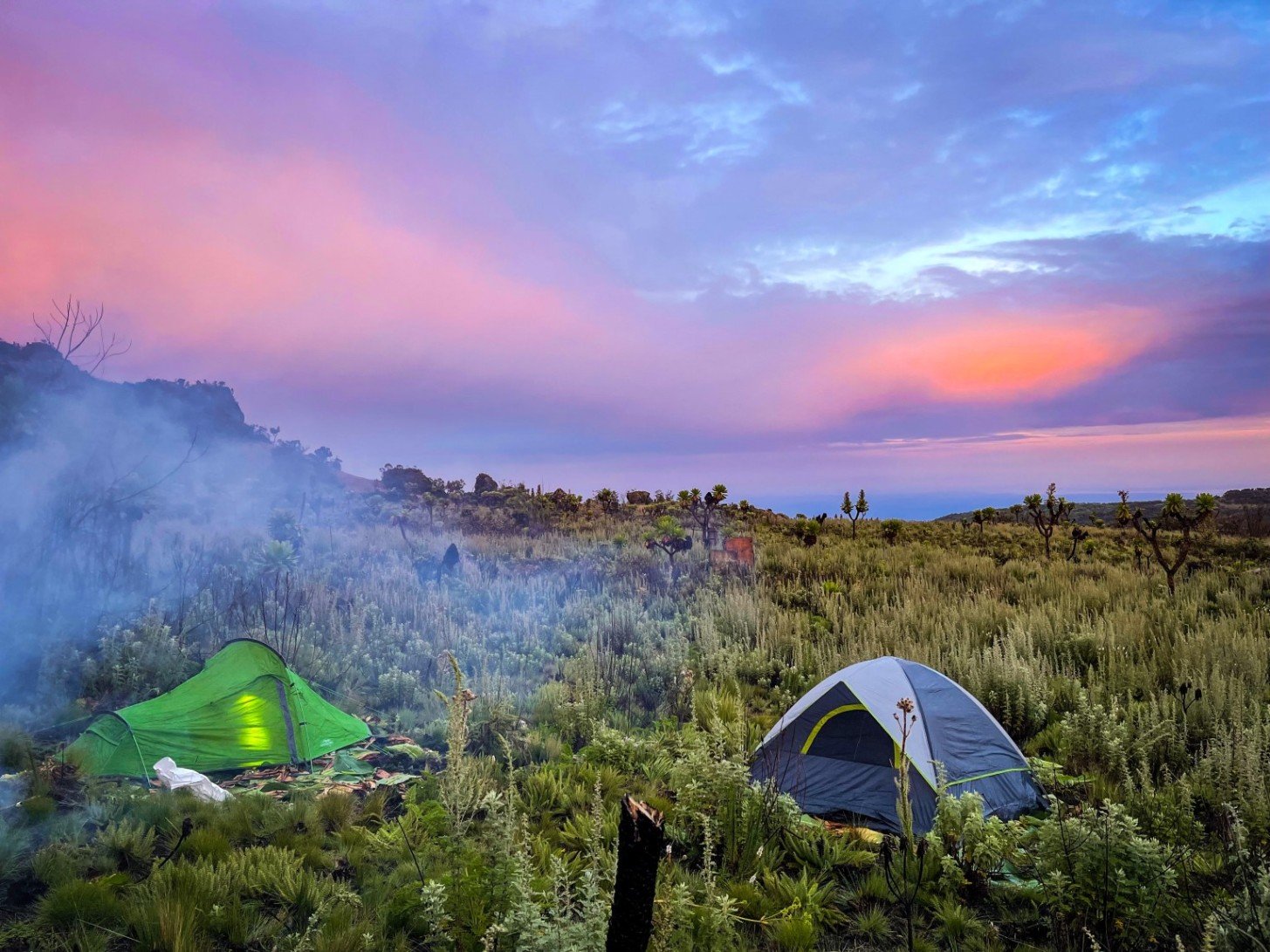 Flora and Fauna of Mount. Elgon National Park