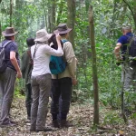 Group Wildlife Safaris in Uganda