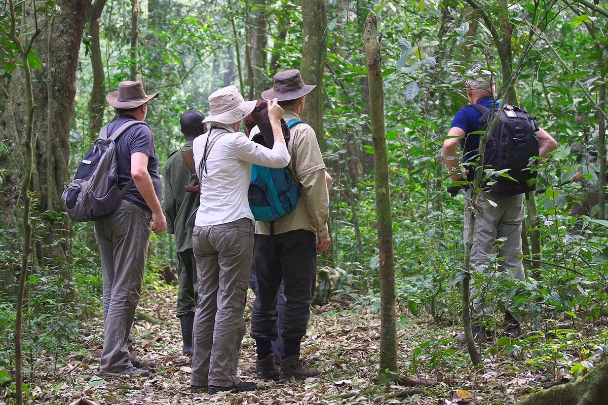 Group Wildlife Safaris in Uganda