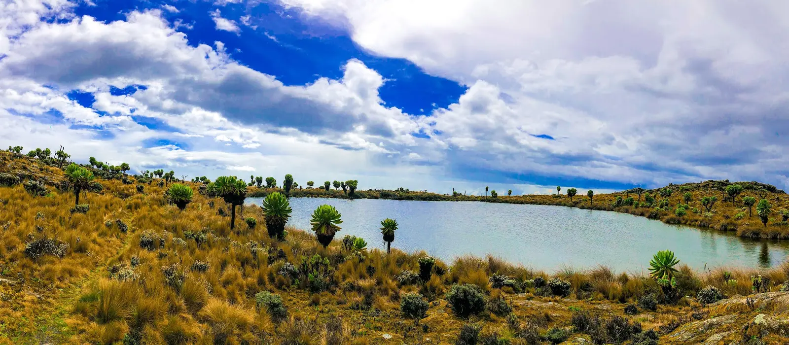 What are the attractions in Mount Elgon?