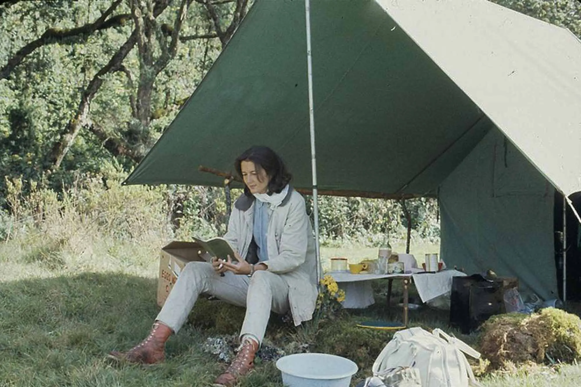 Who was Dian Fossey?