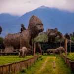 Visit Rwanda