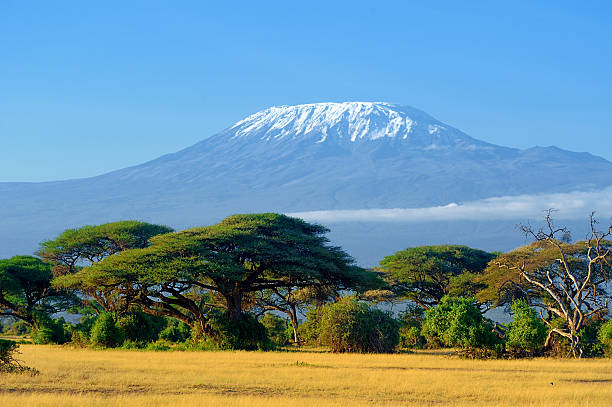 Guide to Mount Kilimanjaro