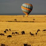 Serengeti National Park Famous