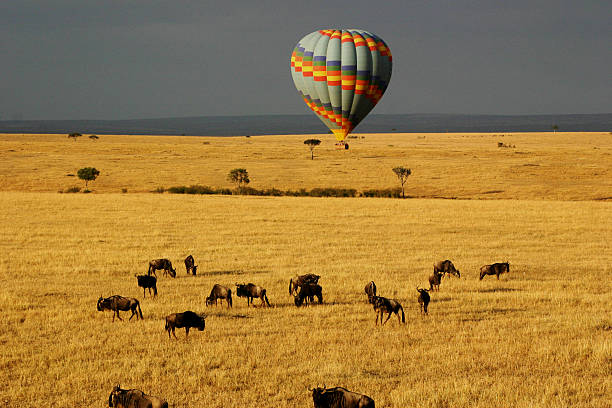 Serengeti National Park Famous