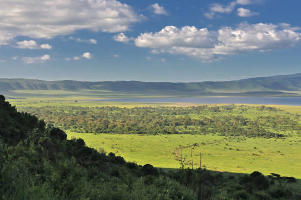 Ngorongoro Crater