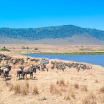 Visit Ngorongoro Conservation