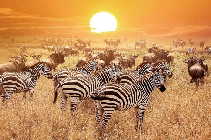 Katavi National Park