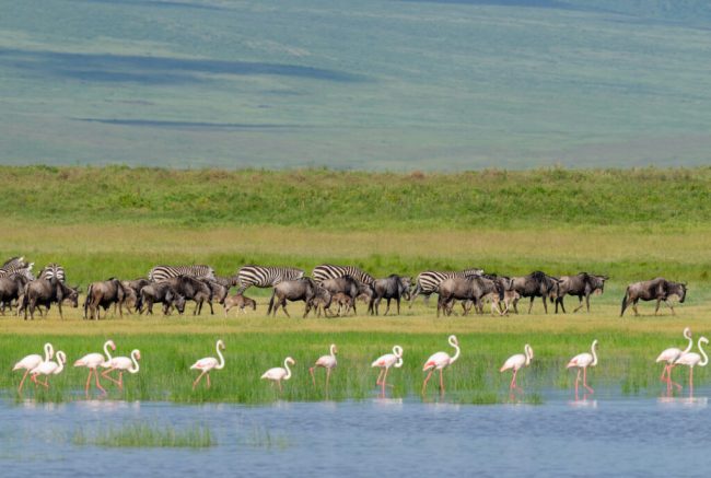 Ndutu Lake