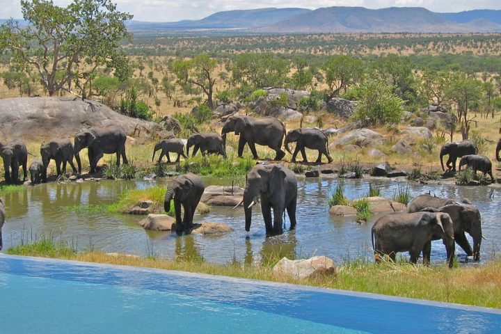 Best Accommodation in Serengeti