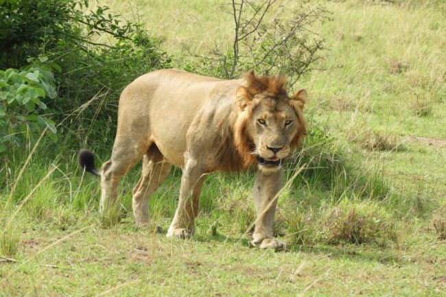 bugungu willdlife reserve
