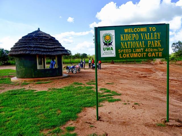 How to Get to Kidepo Valley National Park