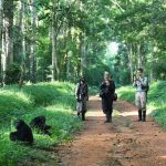 Kaniyo Pabidi | chimpanzee tracking | bird watching