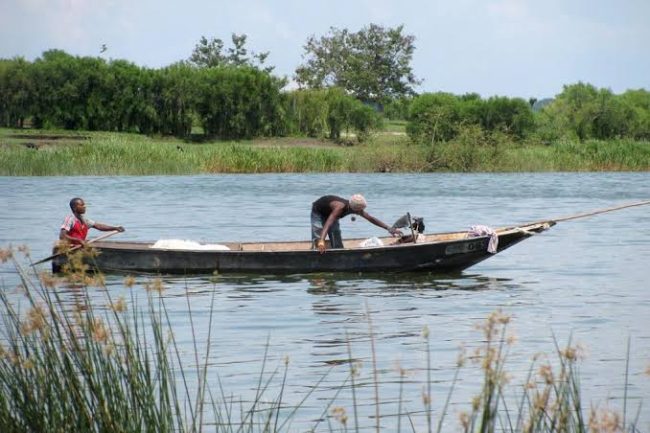 Lake albert