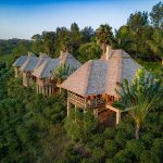 Luxury Accommodation in Northern Tanzania