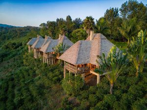 Luxury Accommodation in Northern Tanzania