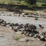 River mara