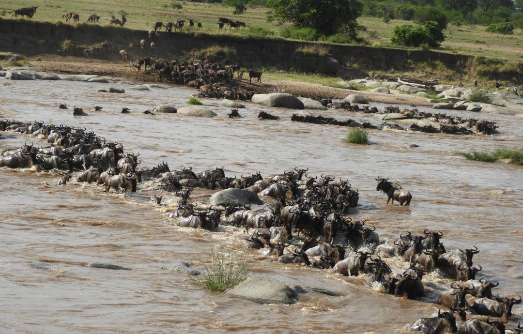 River mara