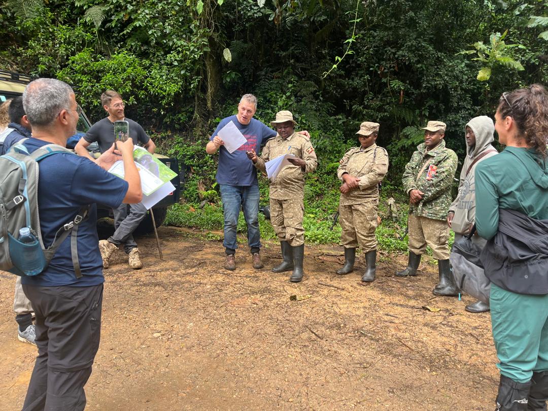 low-season gorilla permits in Uganda