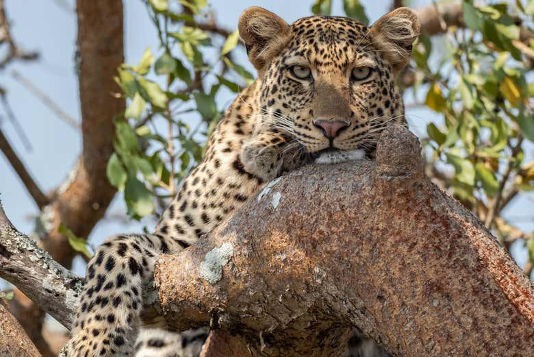 how to get to akagera national park
