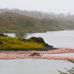 arusha park