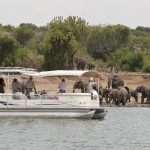 boat cruise along kazinga channel