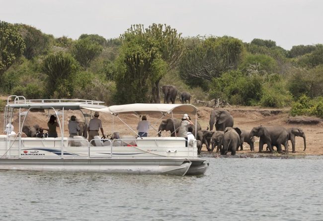 boat cruise along kazinga channel