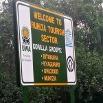 how to get to ruhija gorilla sector