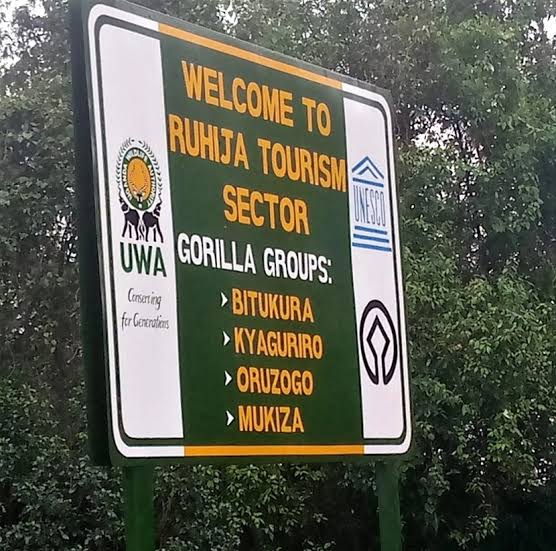 how to get to ruhija gorilla sector