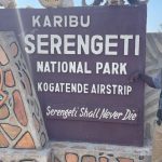 AIRSTRIPS IN SERENGETI