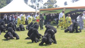 Kwita Izina 2026