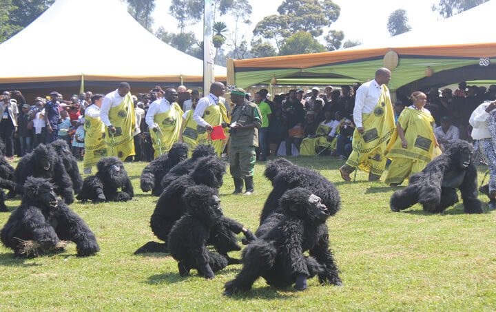 Kwita Izina 2026